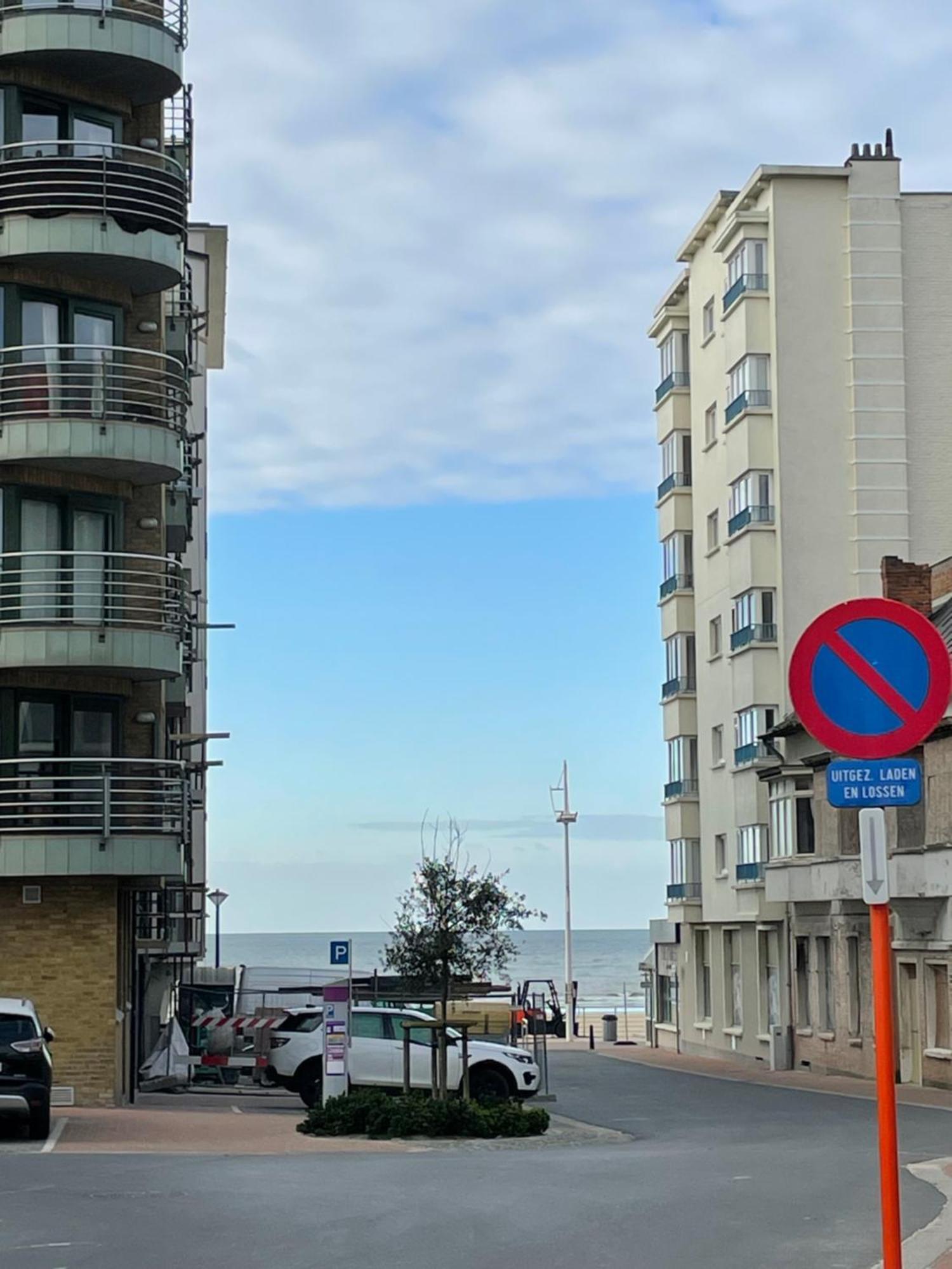 Appt Pablo Met Prive-Garage, Vlakbij Zee, In Koksijde-Badアパートメント エクステリア 写真